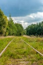 Old railway tracks in the forest